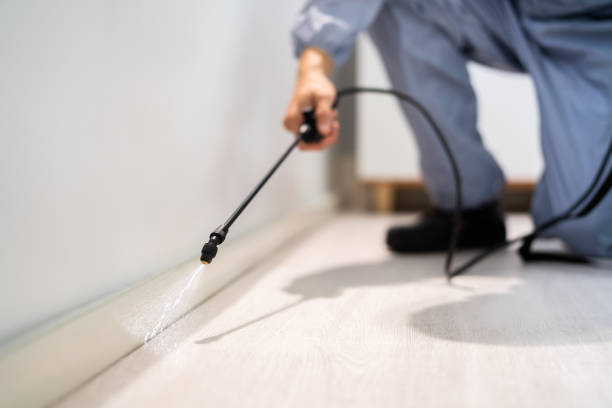 Professional exterminator conducting IPM assessment in Coal Fork
